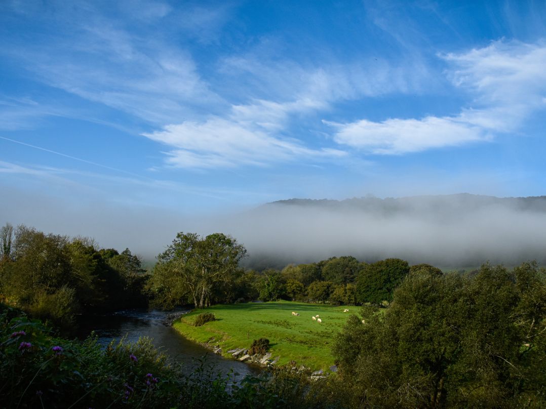 Bwthyn Dyfi