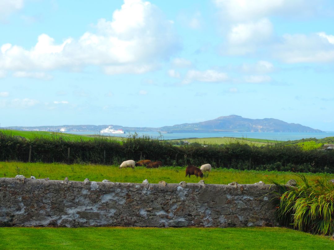 Bryn Môr