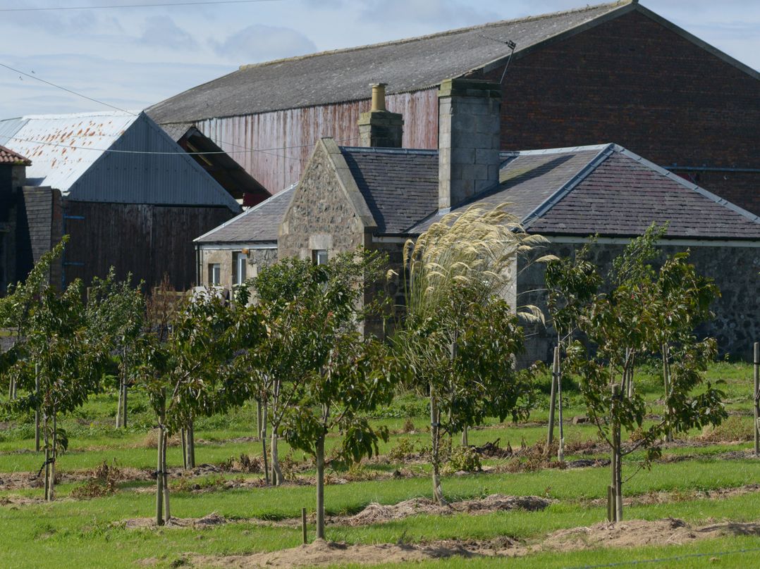 Knightsward Farm