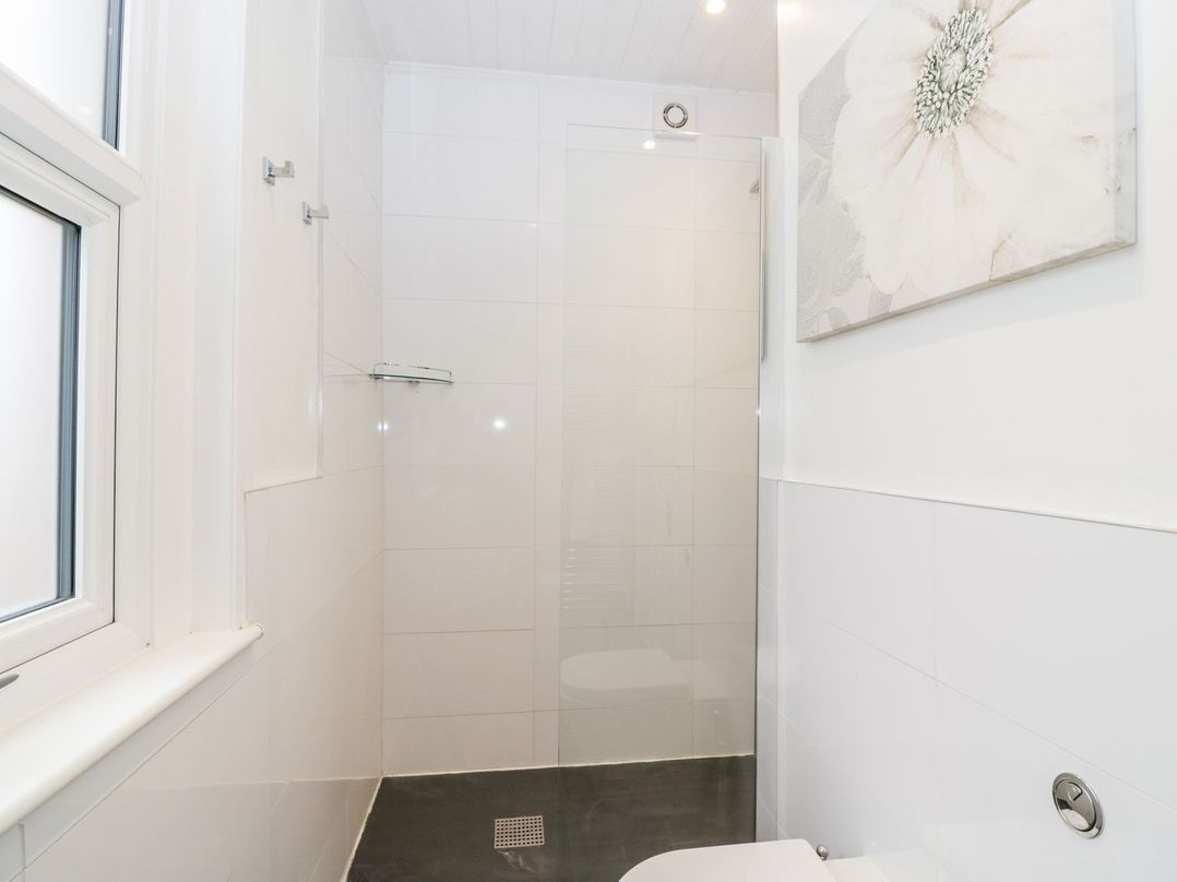 Tree of Life House, Number 27 Bere Lane