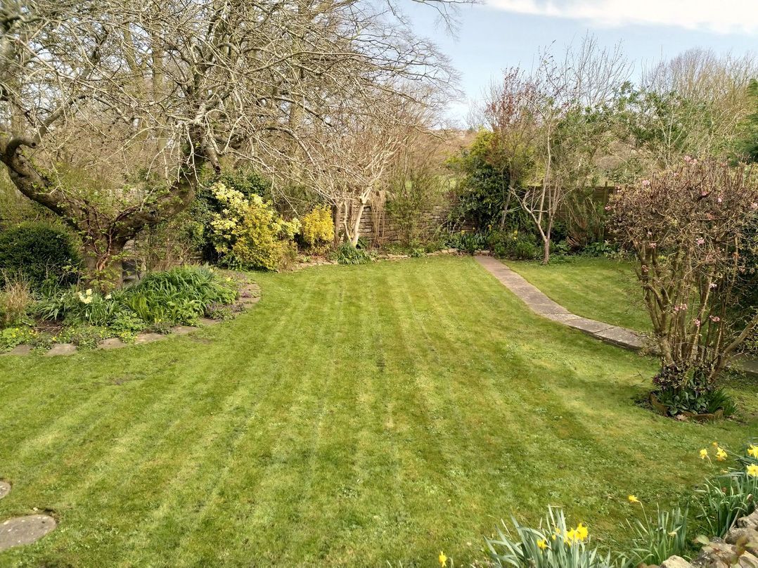 Tree of Life House, Number 27 Bere Lane