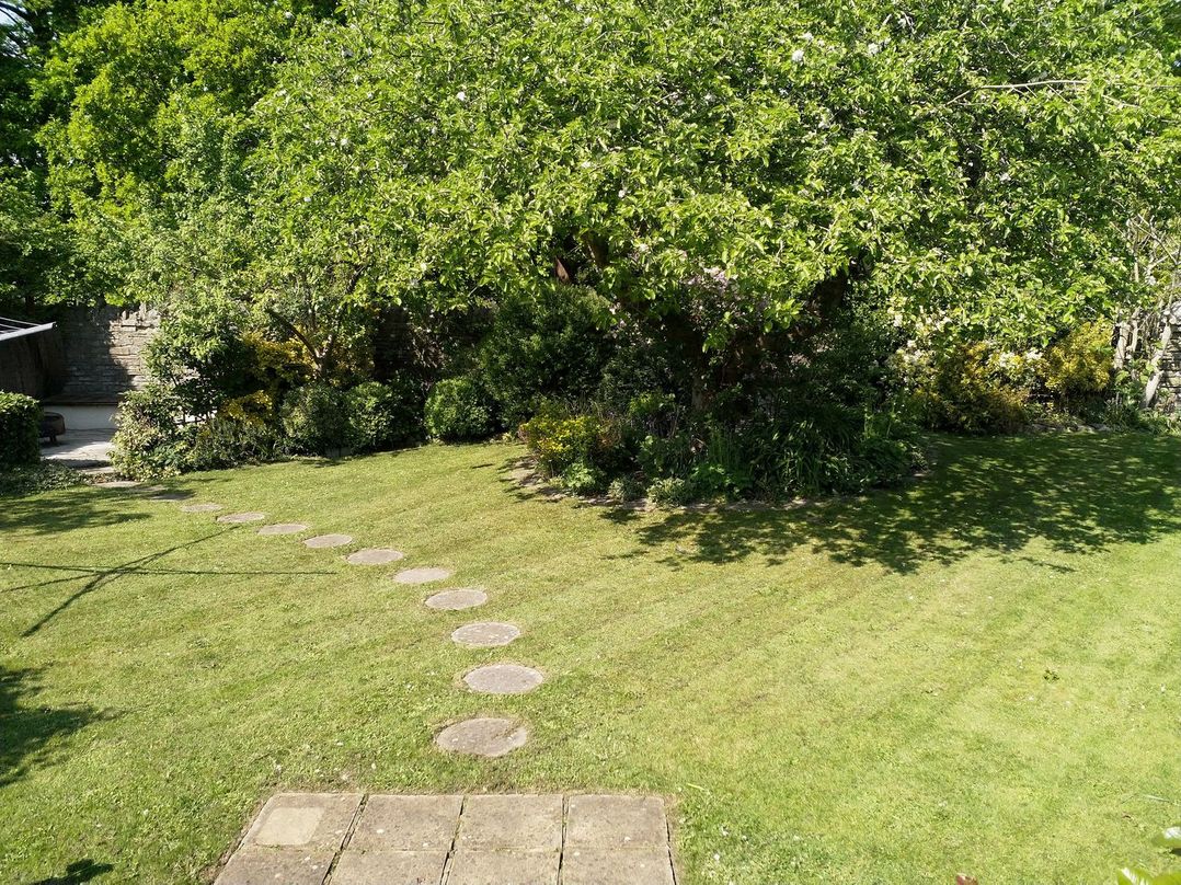 Tree of Life House, Number 27 Bere Lane