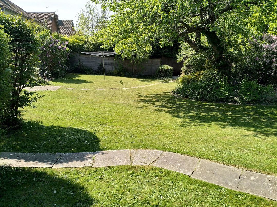 Tree of Life House, Number 27 Bere Lane