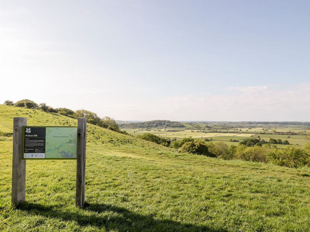Tree of Life House, Number 27 Bere Lane
