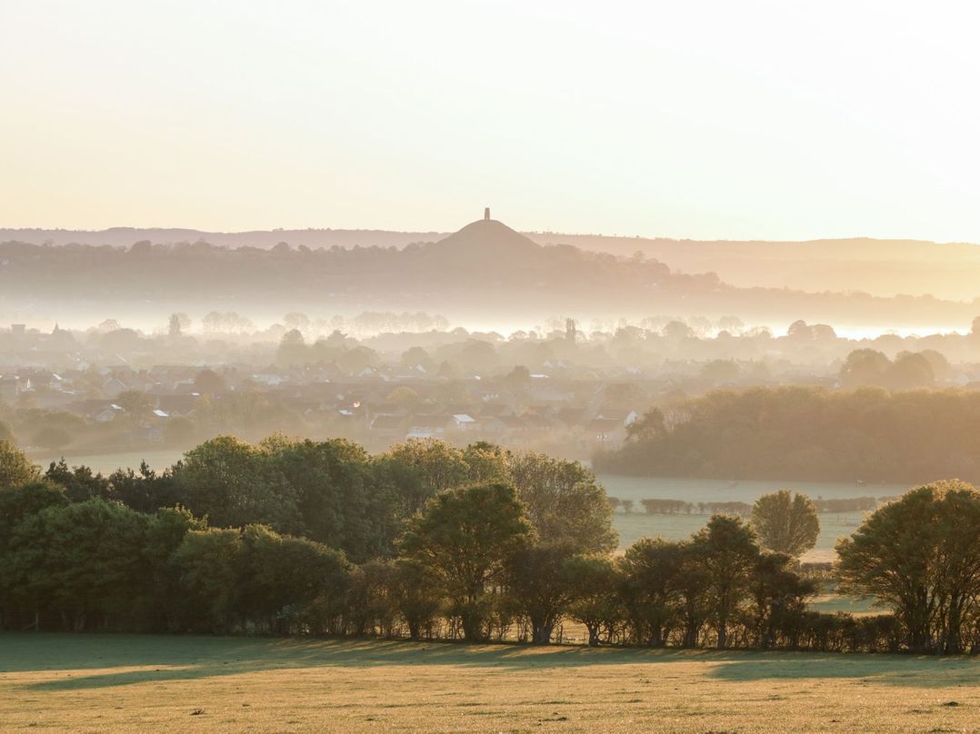 Tree of Life House, Number 27 Bere Lane