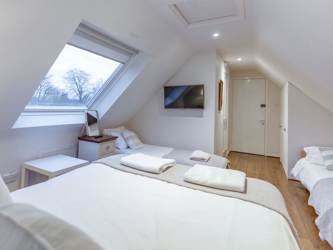 Tree of Life House, Number 27 Bere Lane