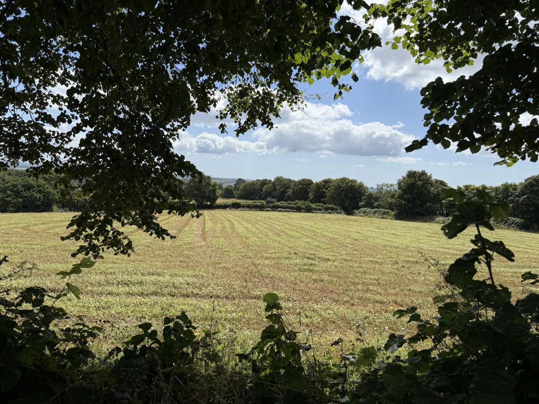 Hembry Meadows