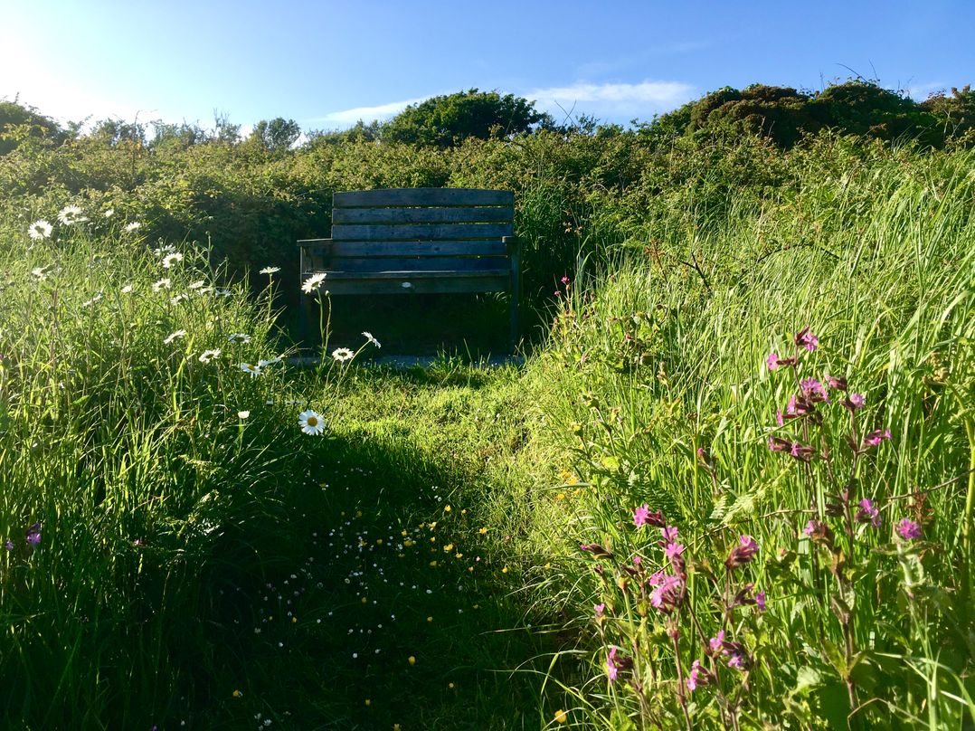 Y Twll Bollt (The Bolt Hole)