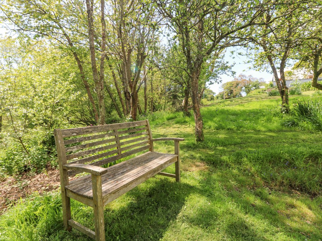 Wood Meadow