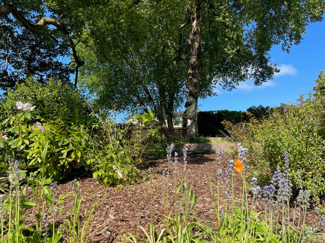 Hockerley Cottage