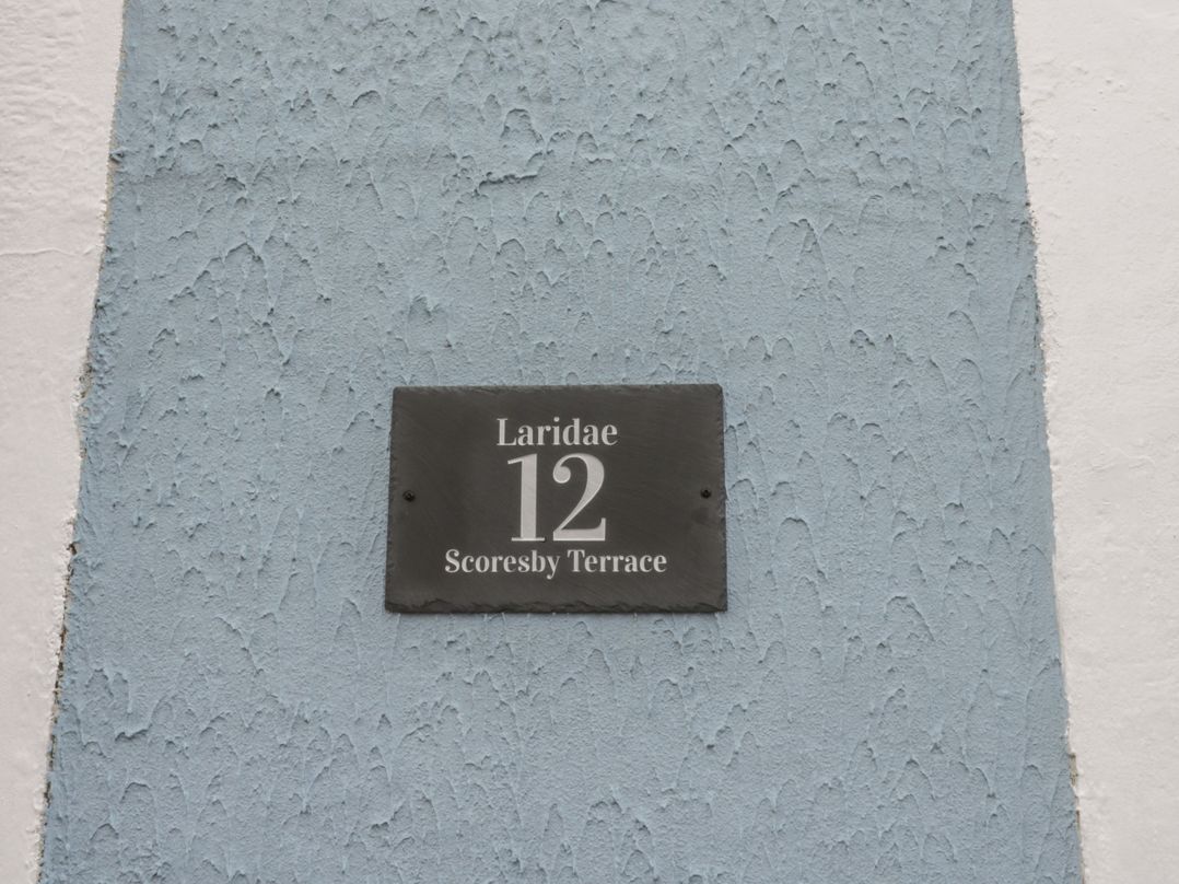 Laridae