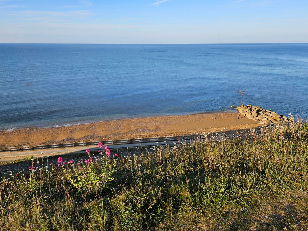 Sandy Combe