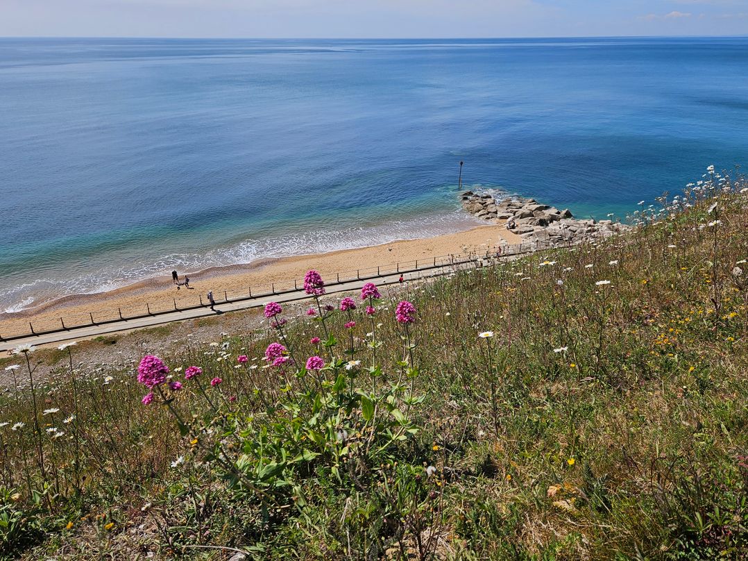 Sandy Combe