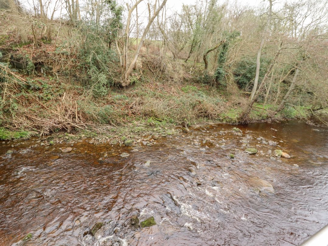 Riverbank View