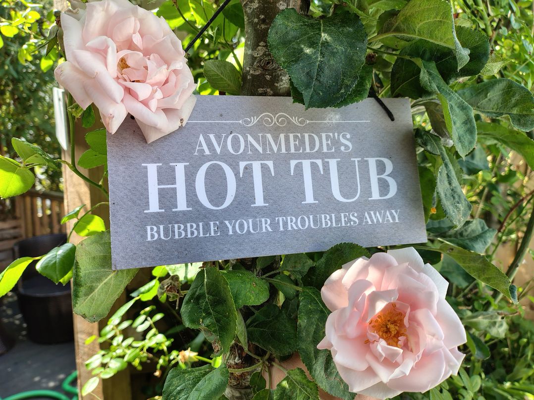Avonmede