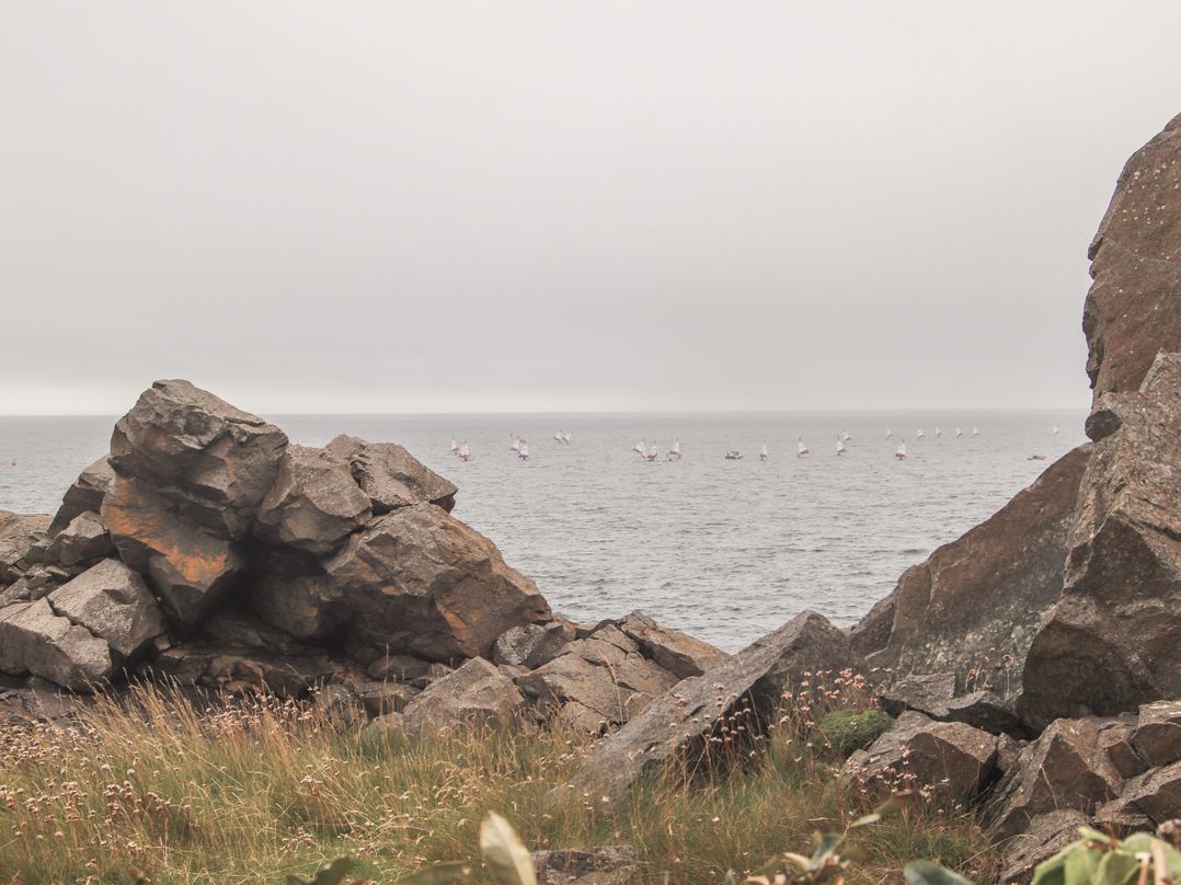 Carreg View