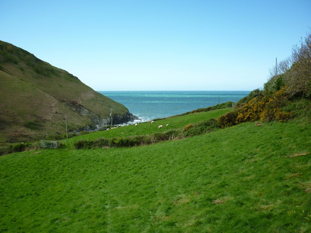Dolwylan Barn