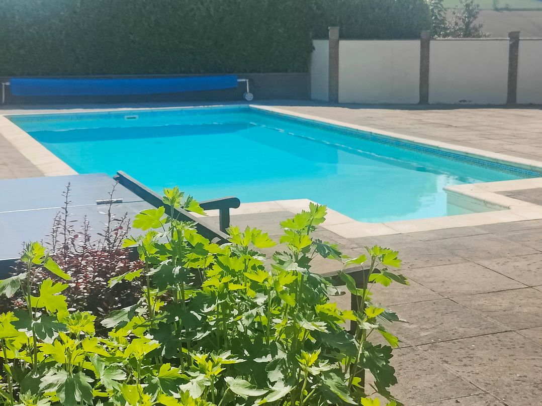 The Pool House