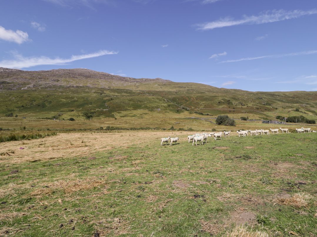 Cwm