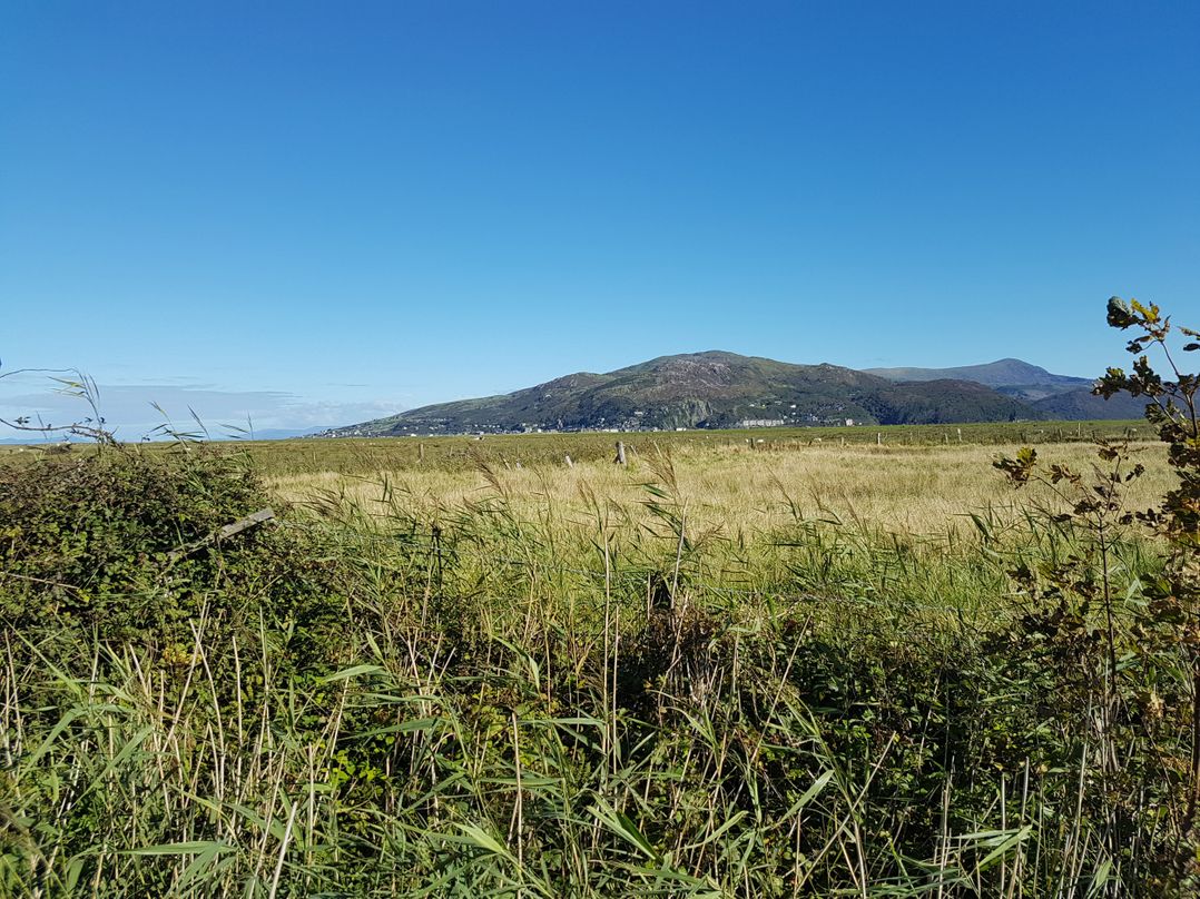 Bryn Y Mor