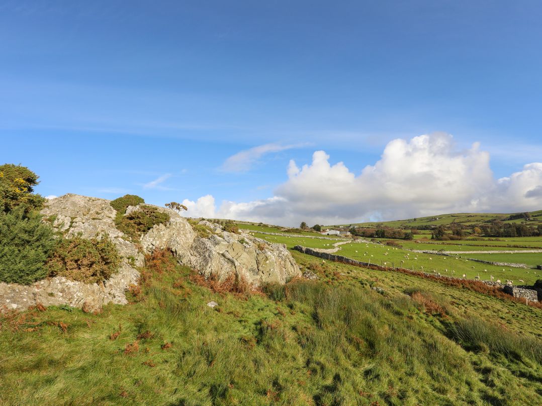 Bryn Y Mor