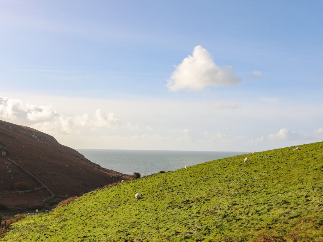 Bryn Y Mor