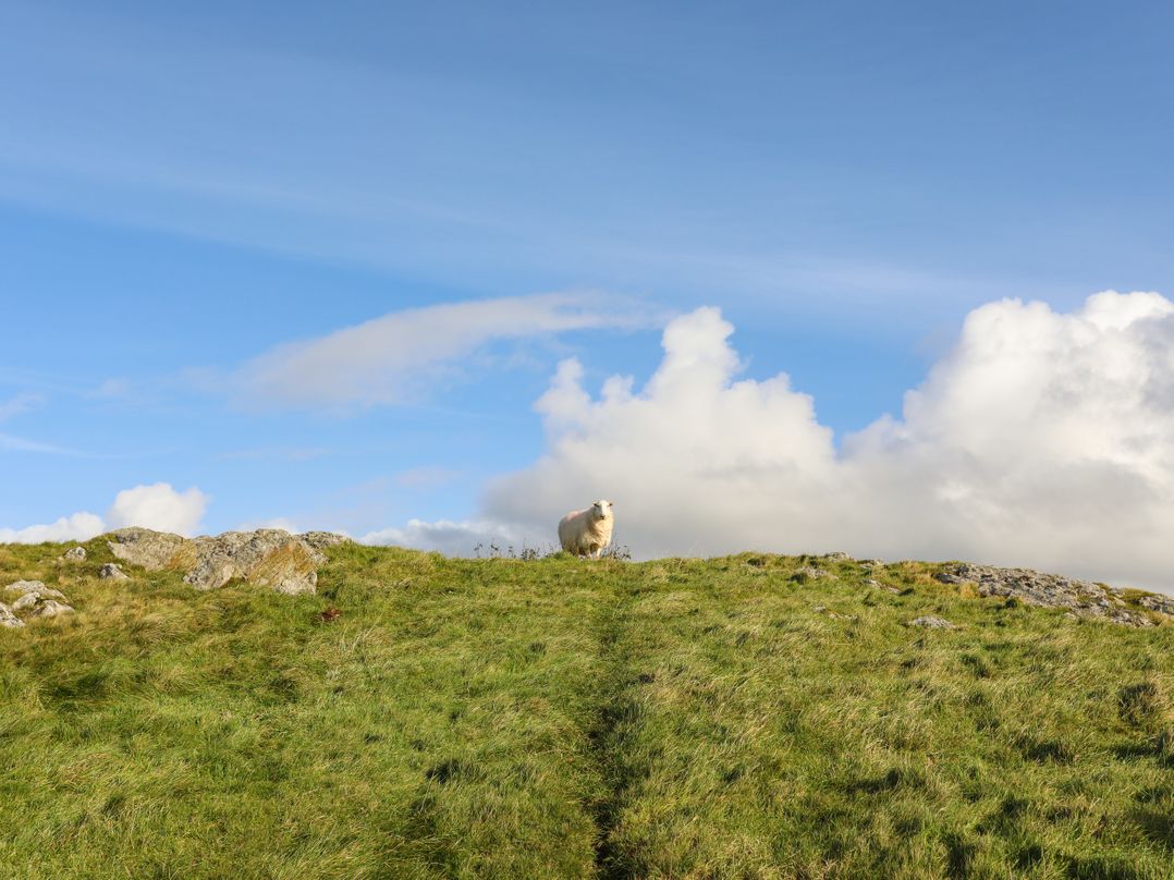Bryn Y Mor