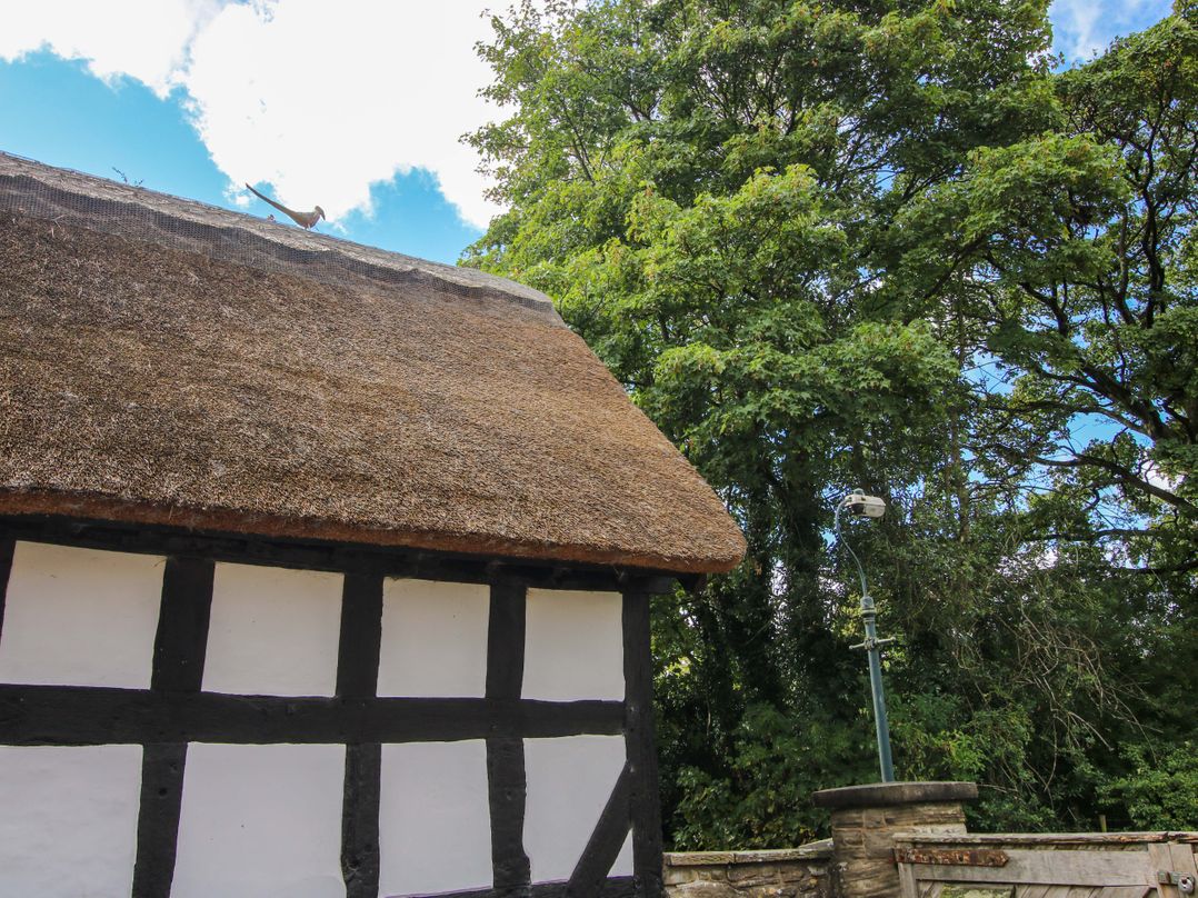 Manor Cottage
