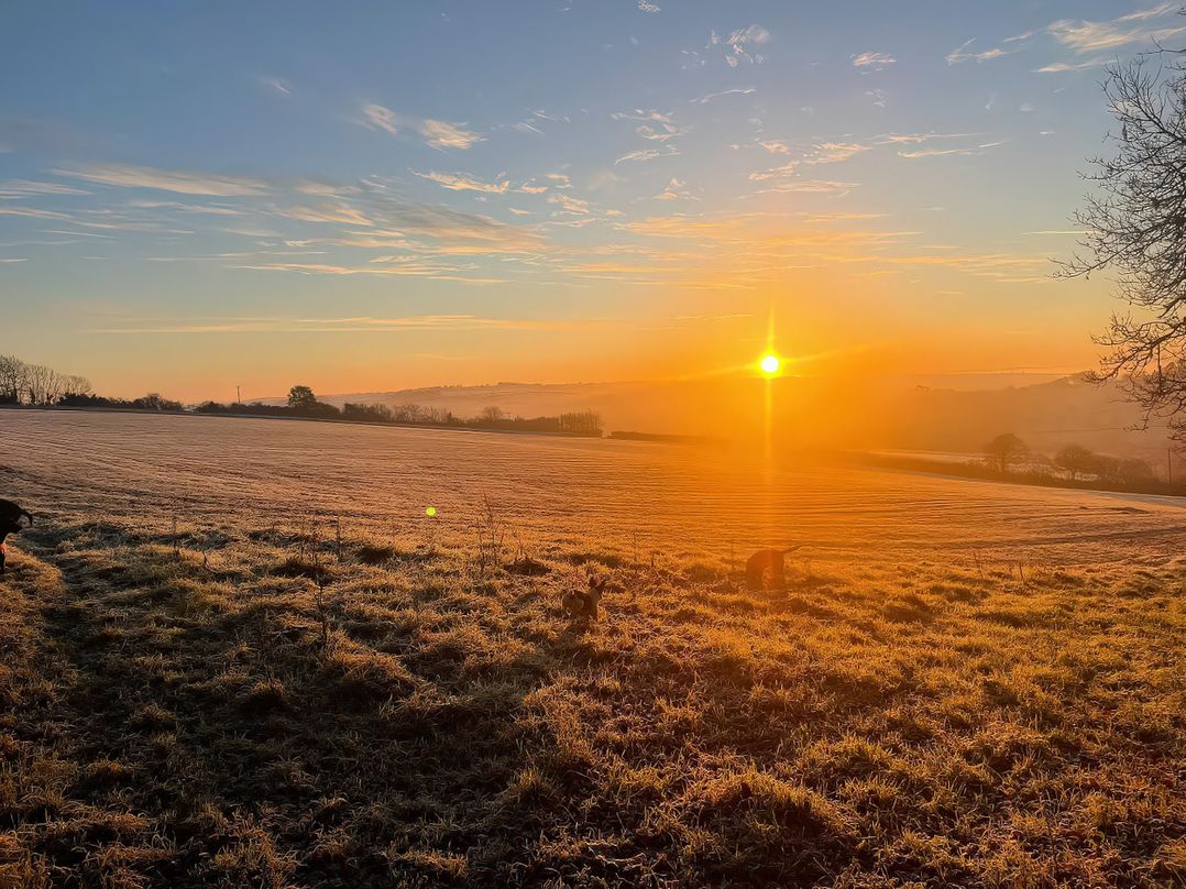 The Cadeleigh