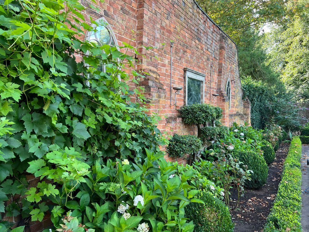 The Cottage