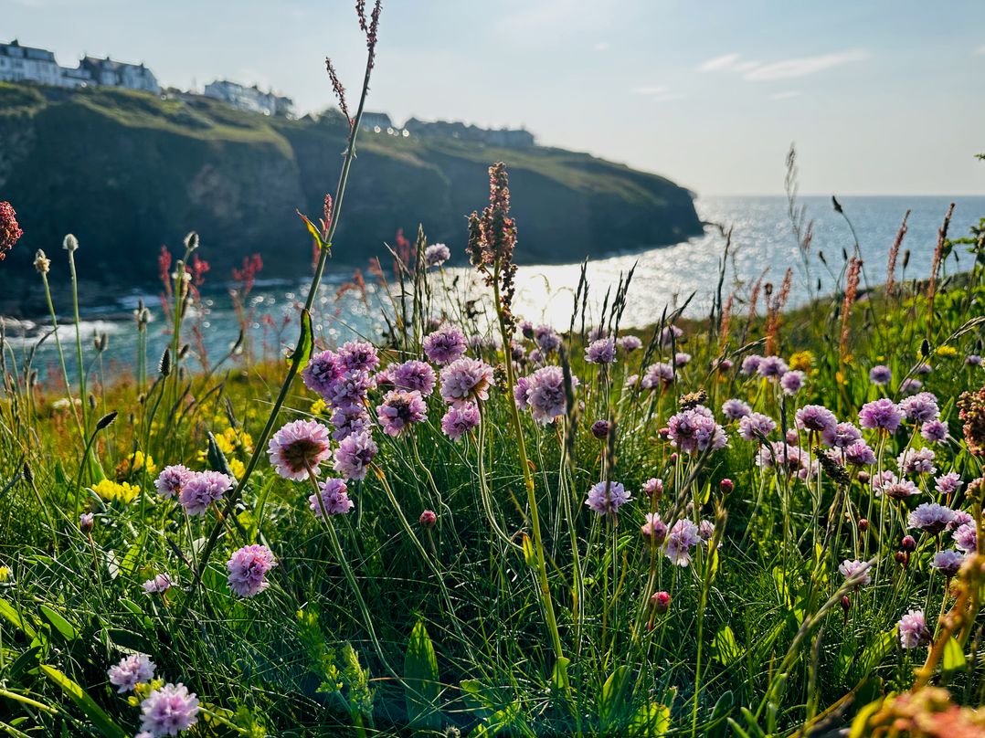 1 Tintagel