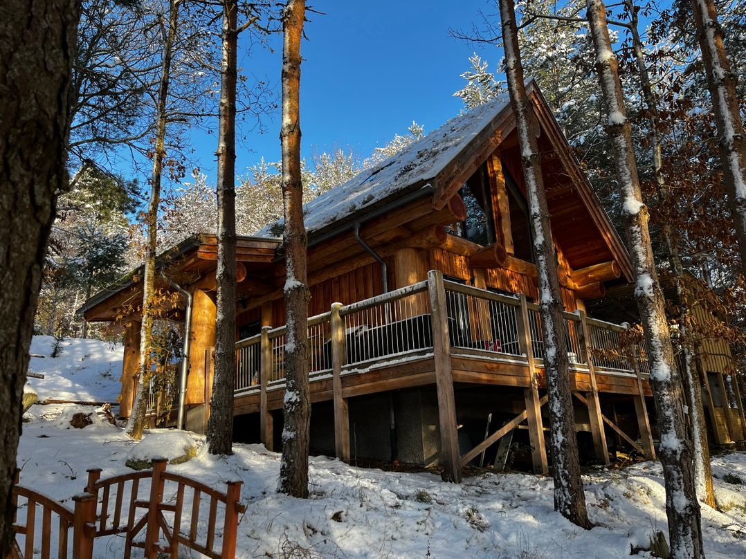 Pine Marten Lodge