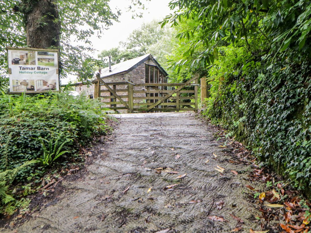 Tamar Barn