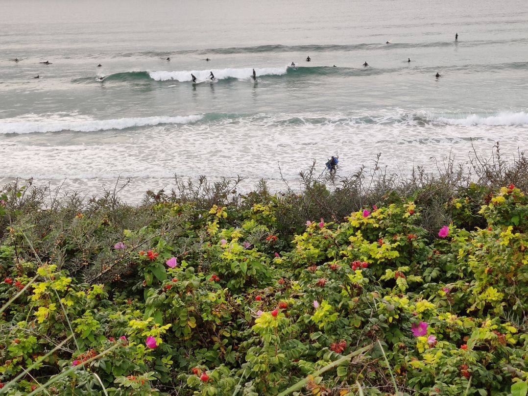 Fistral Retreat