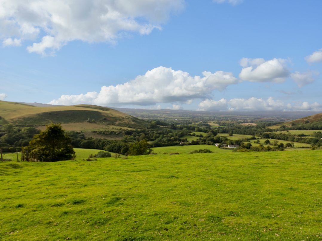 Grove Farm