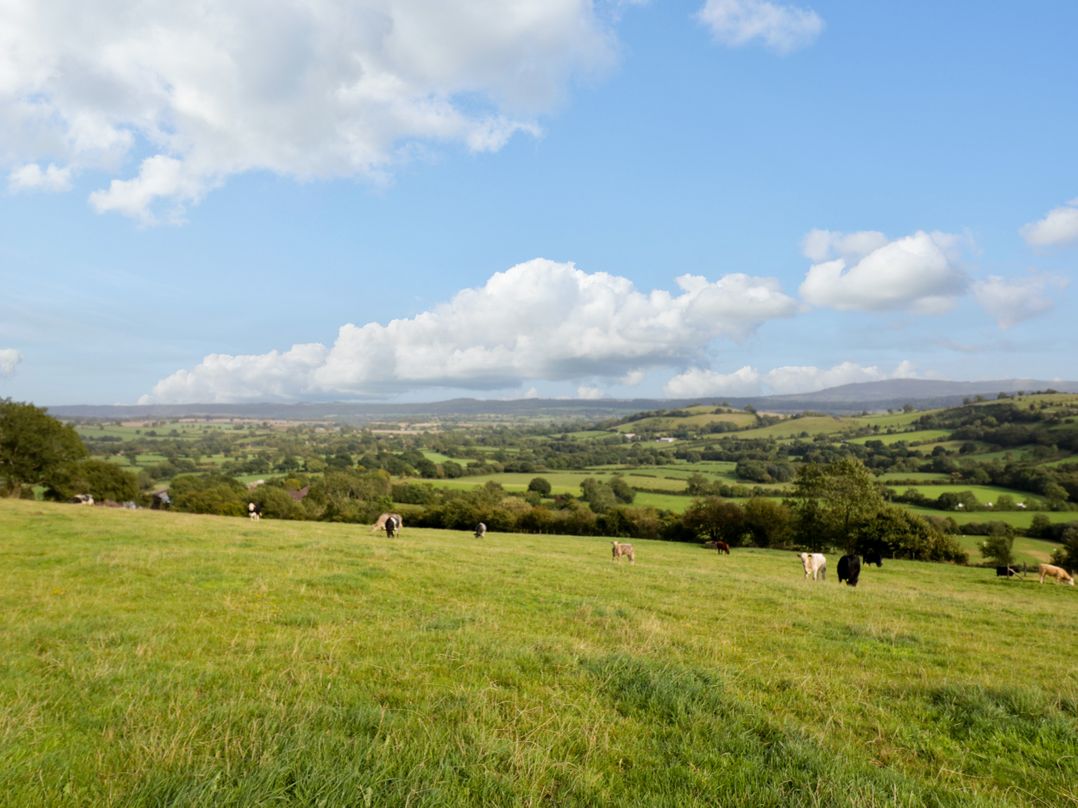 Grove Farm