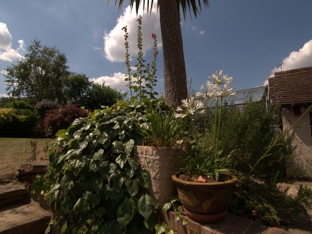 Apple Tree Cottage