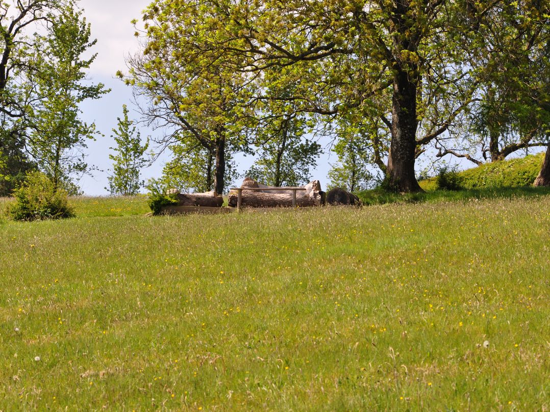 Rockhill Farmhouse