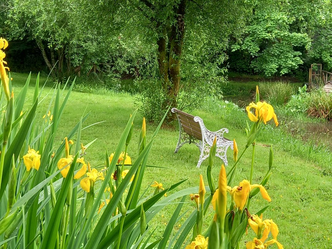 Kingfisher Cottage