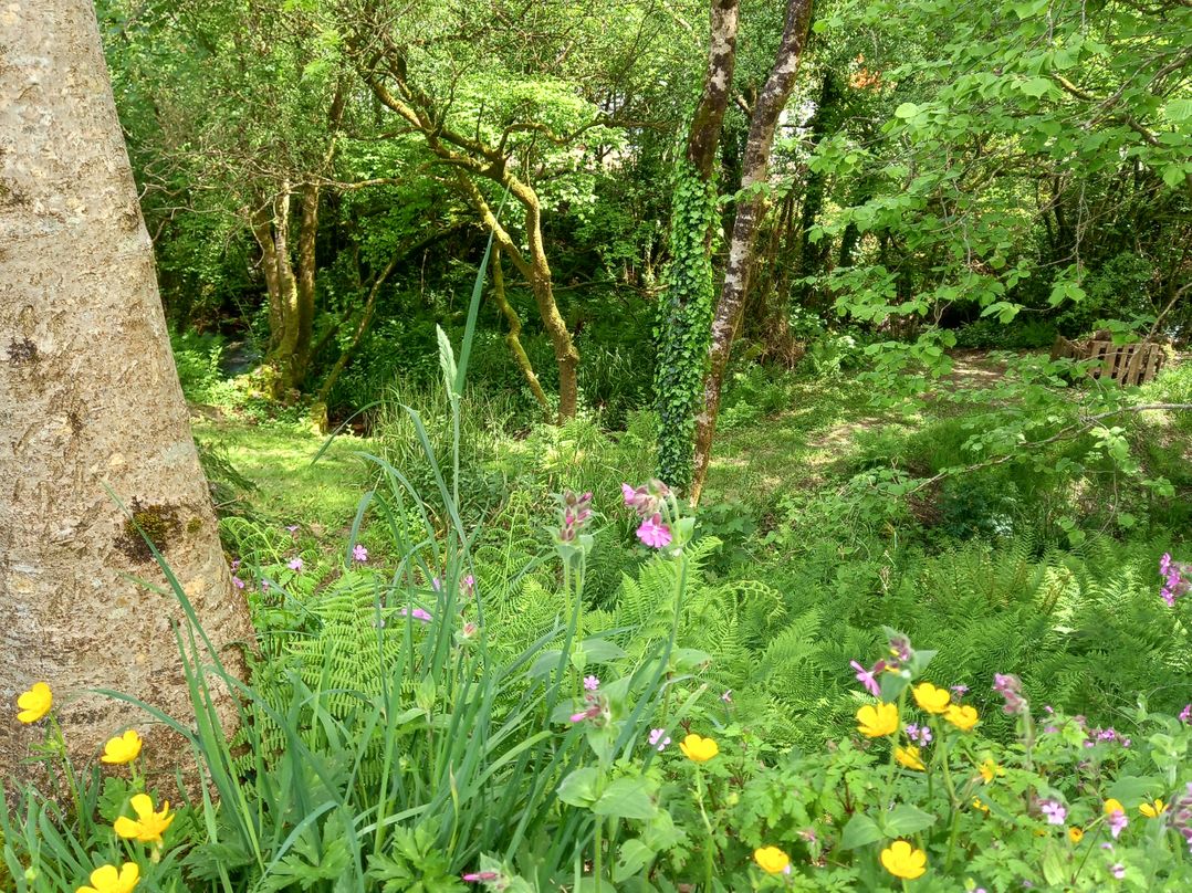 Kingfisher Cottage
