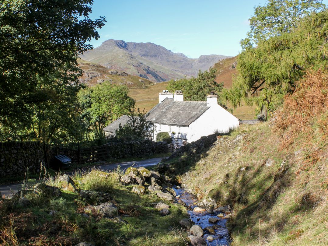 Grizedale