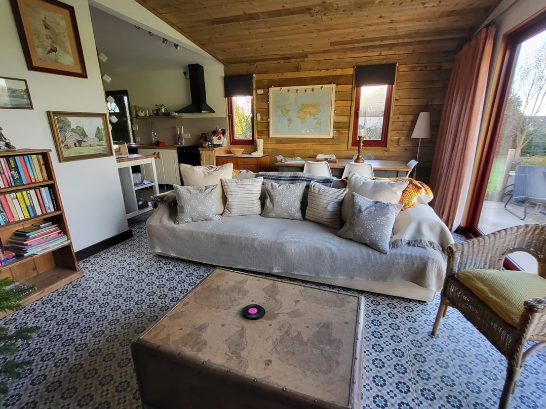 Down the Rabbit Hole