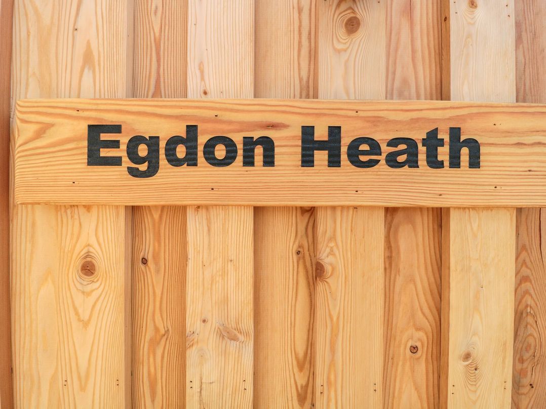 Egdon Heath