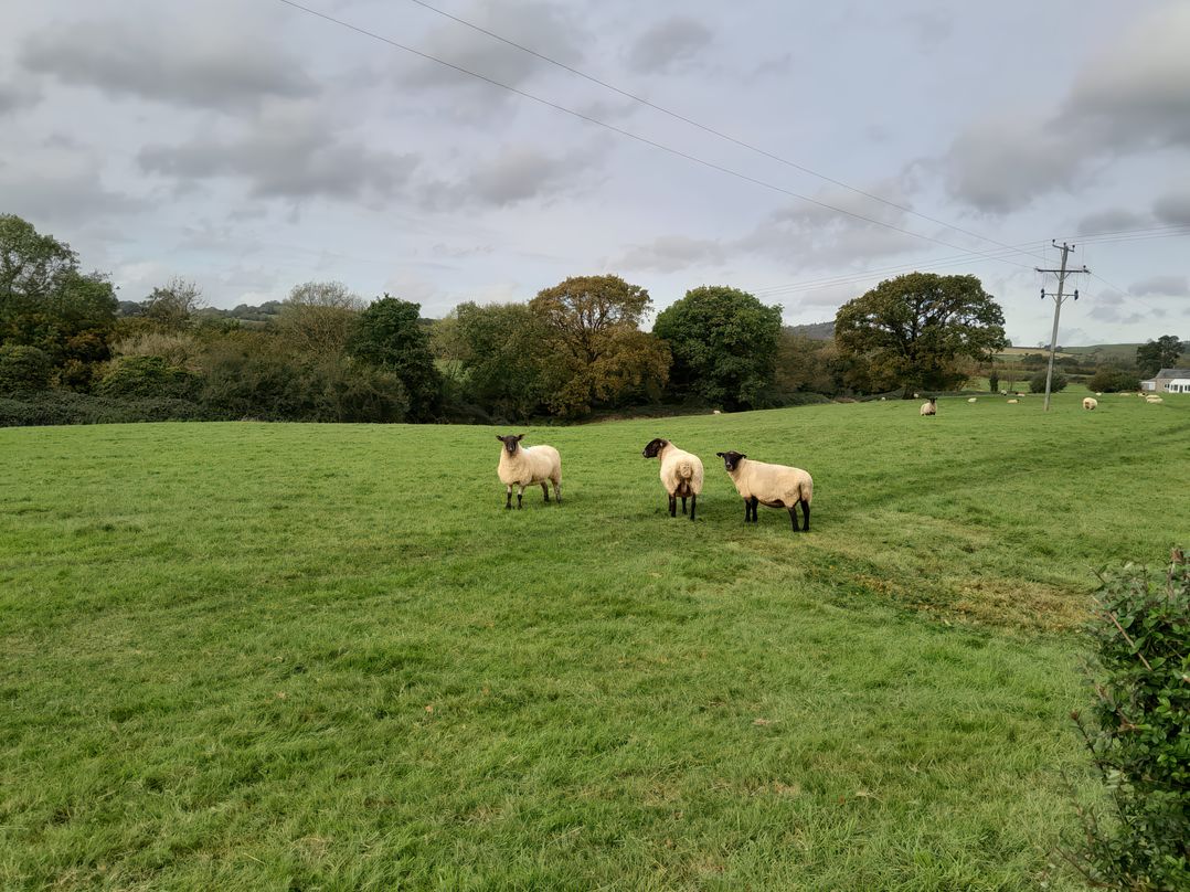 Broadstones