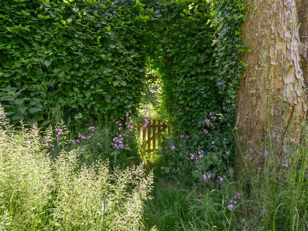 Bluebell Cottage