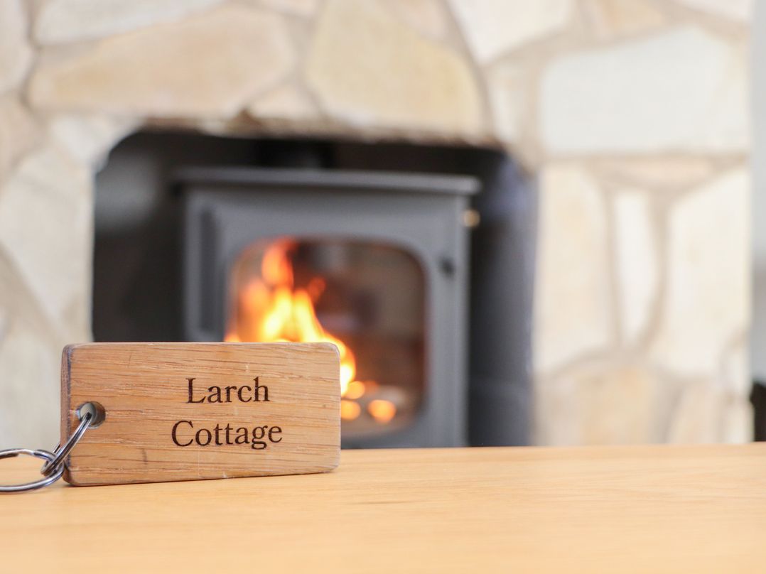 Larch