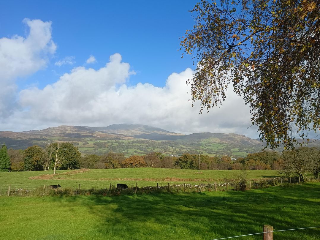 Ty Newydd Uchaf