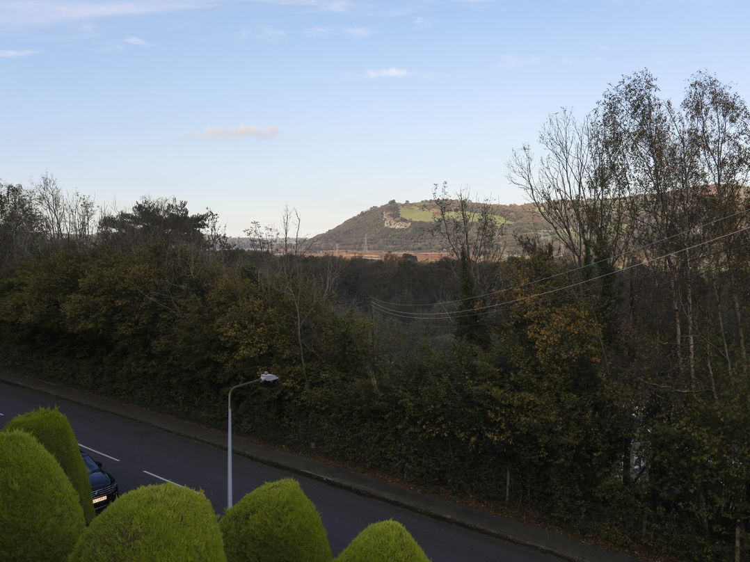 3 Trem Y Dolydd