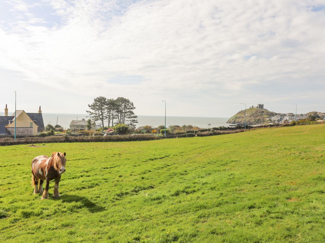 Awelfryn