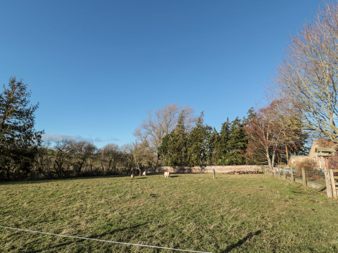 Cheviot View
